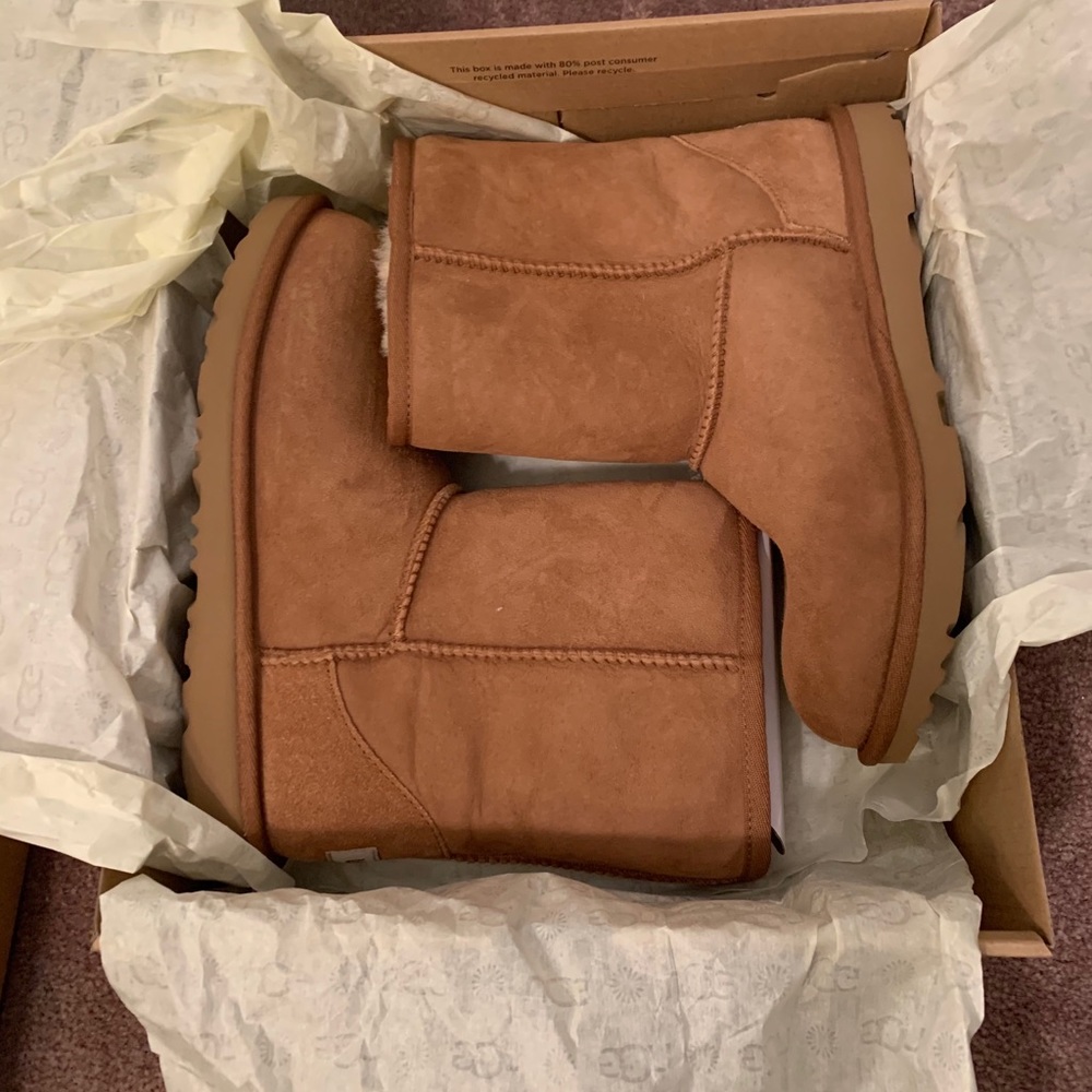 Kids Classic II Chestnut